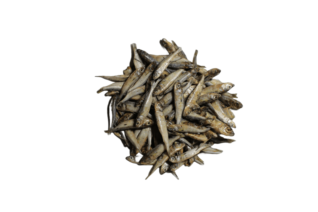 Dehydrated Anchovies 🐟