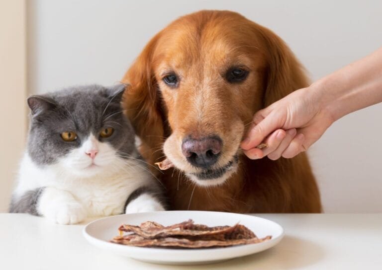 The Triple M Pets Bakery